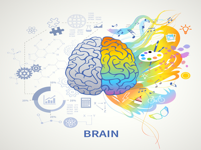 neuropsicologia cepap